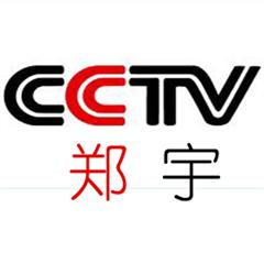 北京央视广告设计 制作 代理